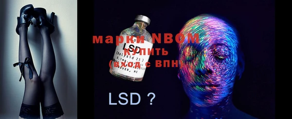 бошки Бородино