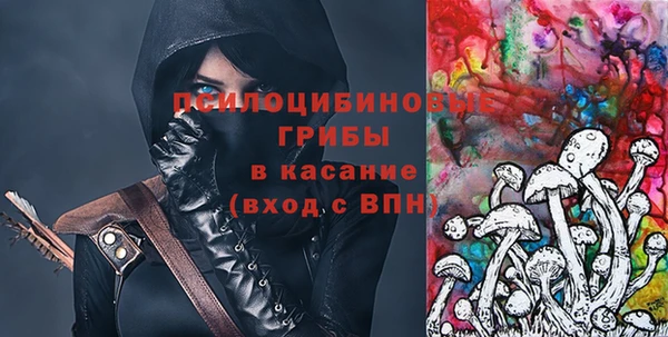 бошки Бородино