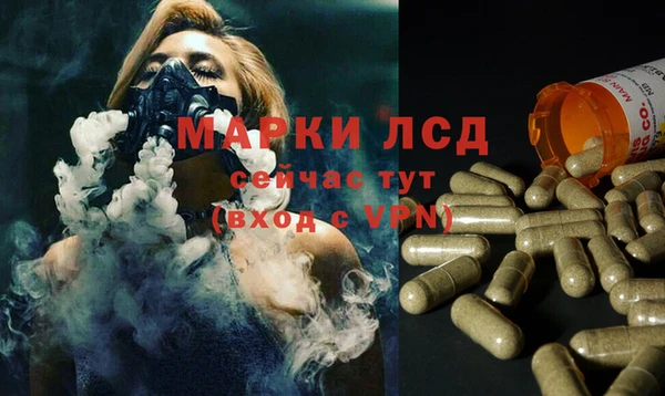 бошки Бородино
